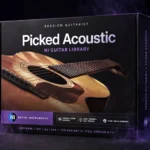 Session Guitarist Picked Acoustic – NI Guitar Library