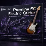 Prominy SC Electric Guitar – Virtual Stratocaster Library